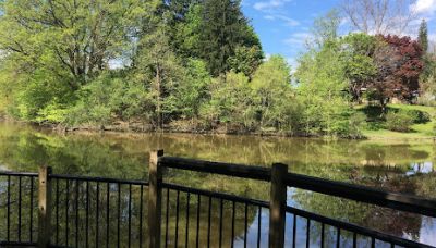 Carpenter Lake Nature Preserve